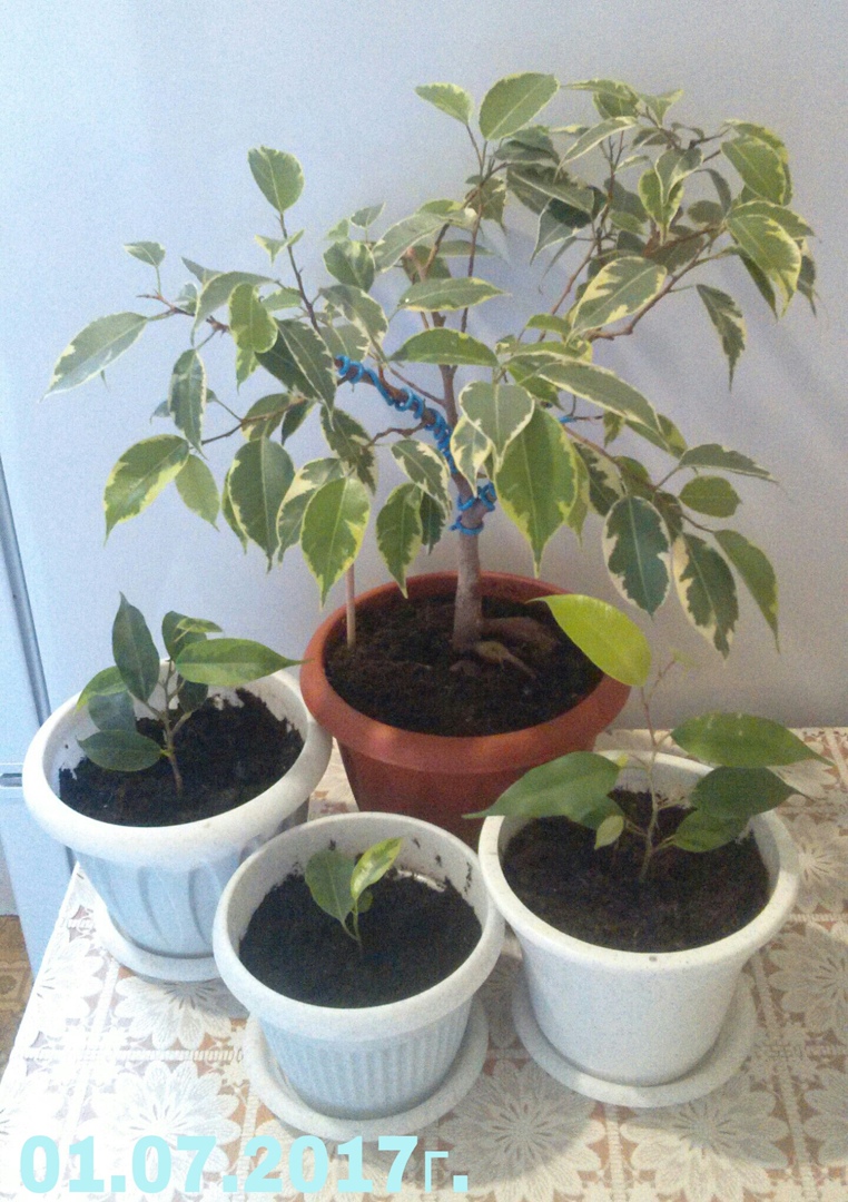 Ксения Рочева | Ижевск