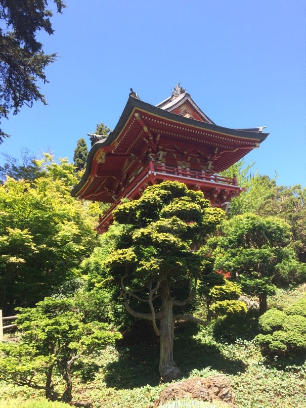 Владимир Буровцев | Санкт-Петербург