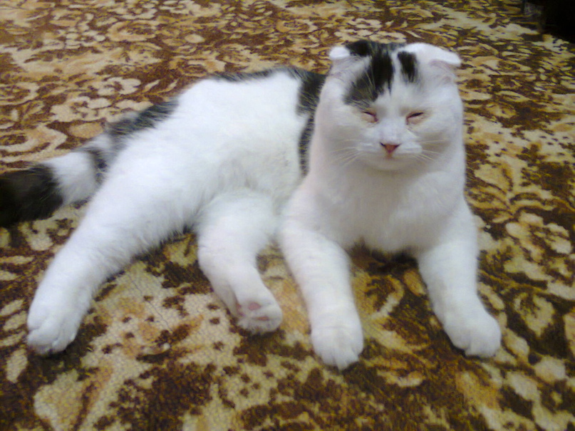 Оля Алфёрова | Гуляйполе