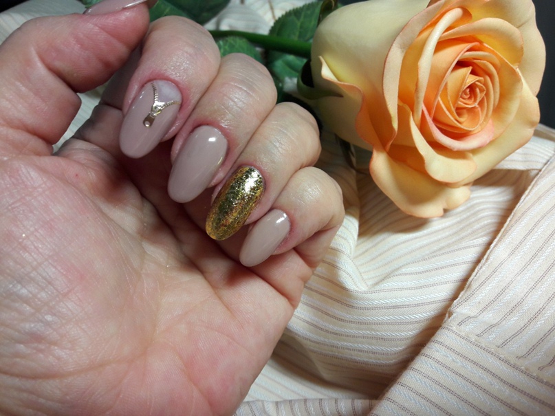 Анна Комарова | Севастополь