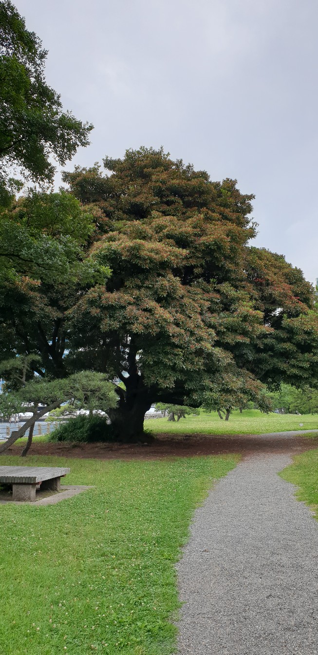 Елена Шитикова | Кемерово