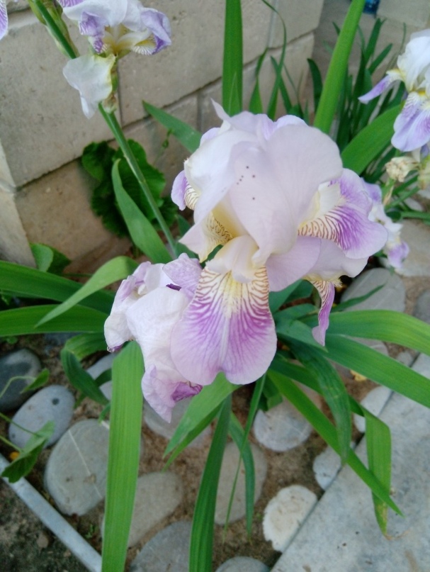 Татьяна Колчина | Касимов