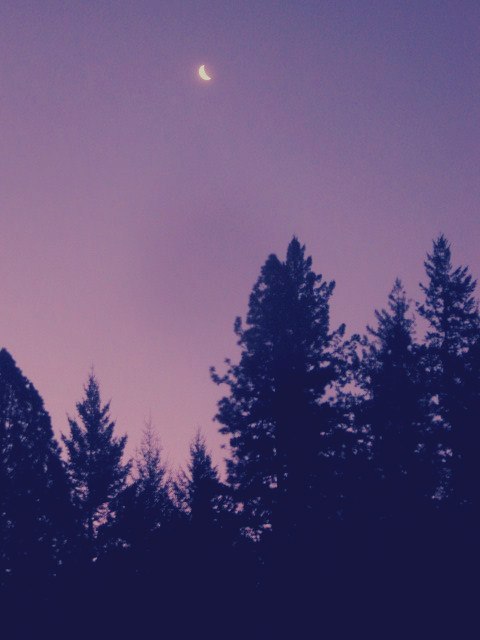 Станислав Игоревич |