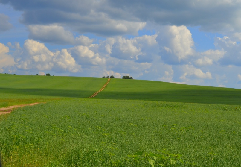 Светлана Жданова | Северодвинск