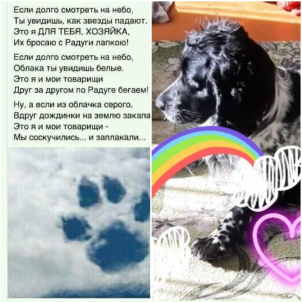 Мой маленький друг, спи спокойно, мы будем всегда...