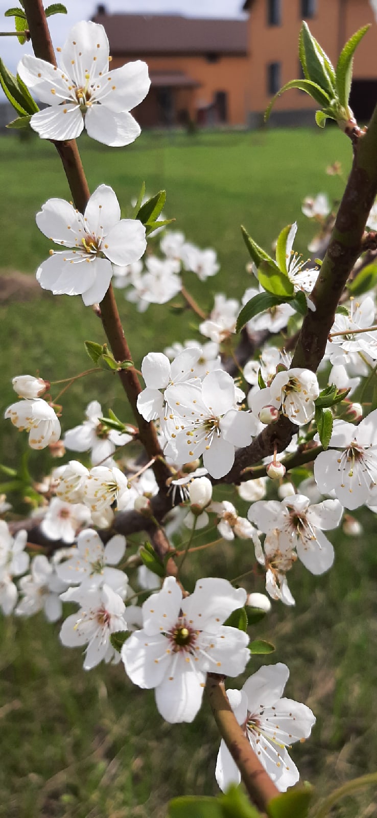 Елена Хорошилова | Белгород