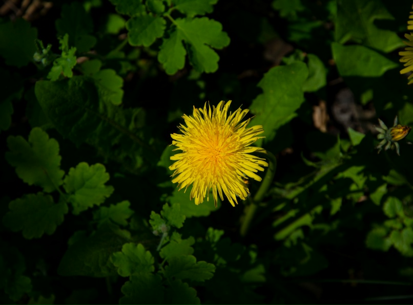 Павел Желтков | Тамбов