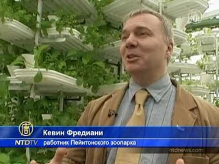 Вертикальная ферма прокормит британский зоопарк