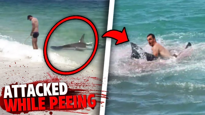 This Man Was RIPPED APART By Sharks While Peeing In The
