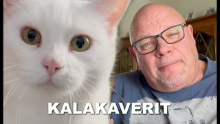 Kevennetn kissavideolla nin ahdistuksen aikana..