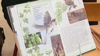 Инфомания. Выпуск 90