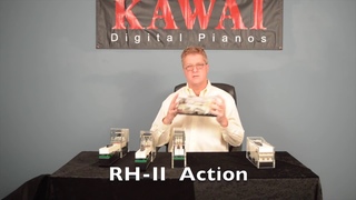 Kawai Action Model Comparison