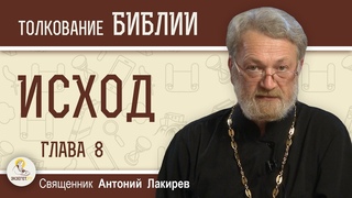 Исход. Глава 8 Жабы, мошки, песьи мухи  Священник Антоний Лакирев