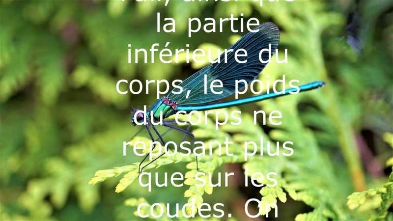 MUDRAS : Le hatha yoga est un tissu dexercices bizarres, les uns inoffensifs, dautres