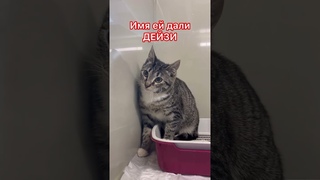 Санкт-Петербург малышка из подъезда