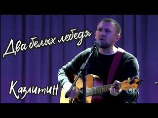 Перепел по-новому Рок-острова. /Казлитин А./Мценск/Два белых лебедя/ russian guitar cover songs