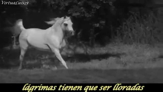 Wild Horses The Rolling Stones  subtitulado Español
