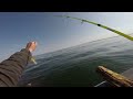 Murinus Fishing, балтийское море