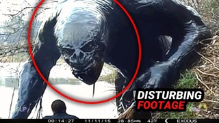 MOST Frightening Camping Encounters EVER Caught On Camera