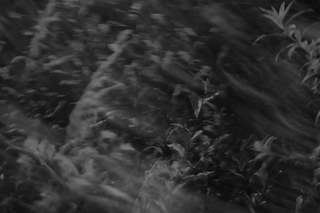 Antimelodix - Gig in  (teaser)