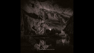 Foreign Material - The Three Ladies of the Marshes [ANN31]