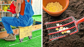 Trucos geniales de jardinera y ideas para organizar el jardn