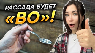 35 цветов и овощей которые я ПОСЕЮ в МАРТЕ