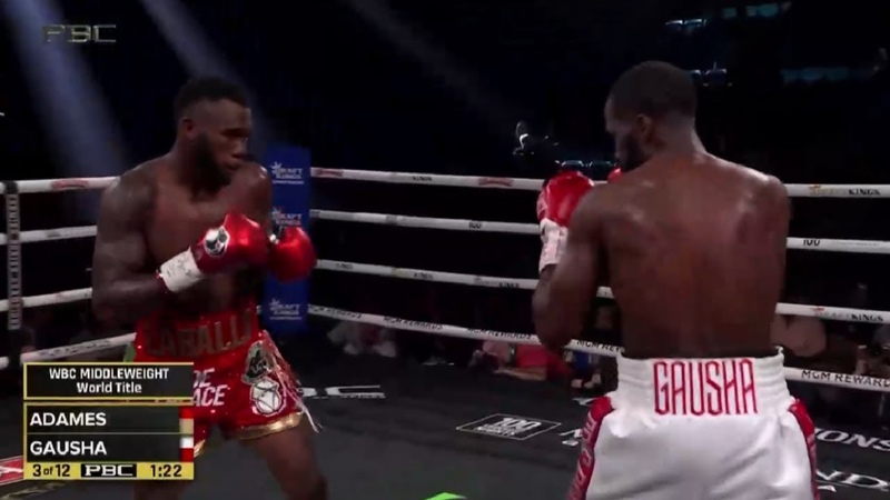 Carlos Adames vs Terrell Gausha Full Fight Highlights