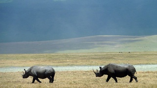 Ngorongoro Crater, Tanzania in HD
