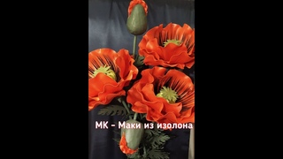 МК Маки из цветного изолона