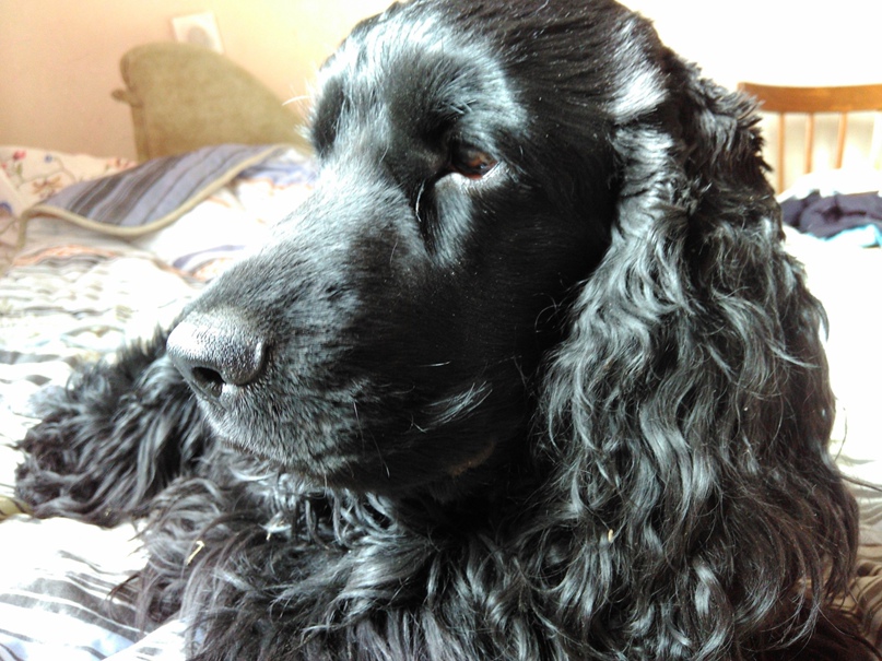 Елена Криницкая Владимировна | Санкт-Петербург