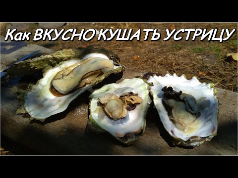 Как ВКУСНО приготовить и ОТКУШАТЬ УСТРИЦУ прямо на берегу.