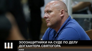 “Наверно, у судьи диарея“. Зоозащитники на суде по делу догхантера Святогора