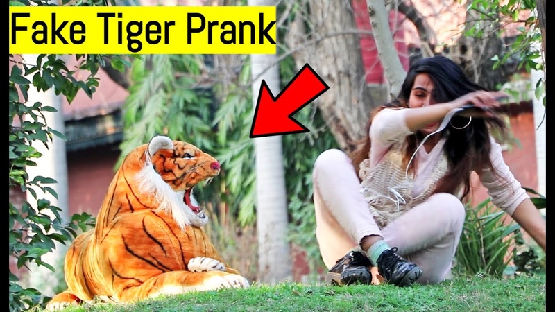 Fake Tiger Prank Pranks in Pakistan Lahori