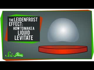 The Leidenfrost Effect: How to Make a Liquid Levitate