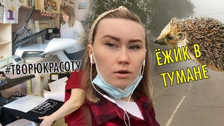 Ёжик в тумане / Природа / Погода / Немного работы
