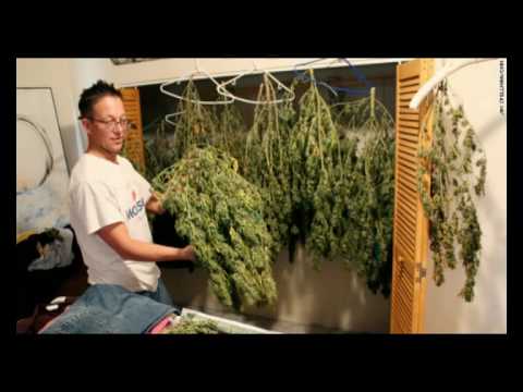 BRAND NEW: Abajonai Legalize the