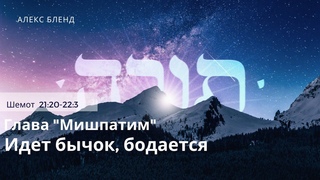 02 Недельная глава Мишпатим. Идет бычок бодается. Шемот 21:20-22:3
