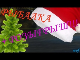 Рыбачим и разыгрываем ЗОЛОТО!!! Мир рыбаков. World of fishers.