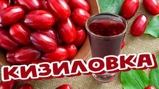 (18+) Кизиловая НАСТОЙКА на спирте (Наливка, Ликёр) КИЗИЛОВКА