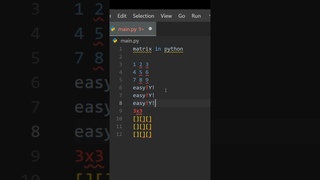 Python Matrix