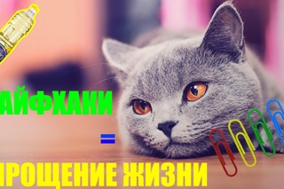 ЛАЙФХАКИ=УПРОЩЕНИЕ ЖИЗНИ